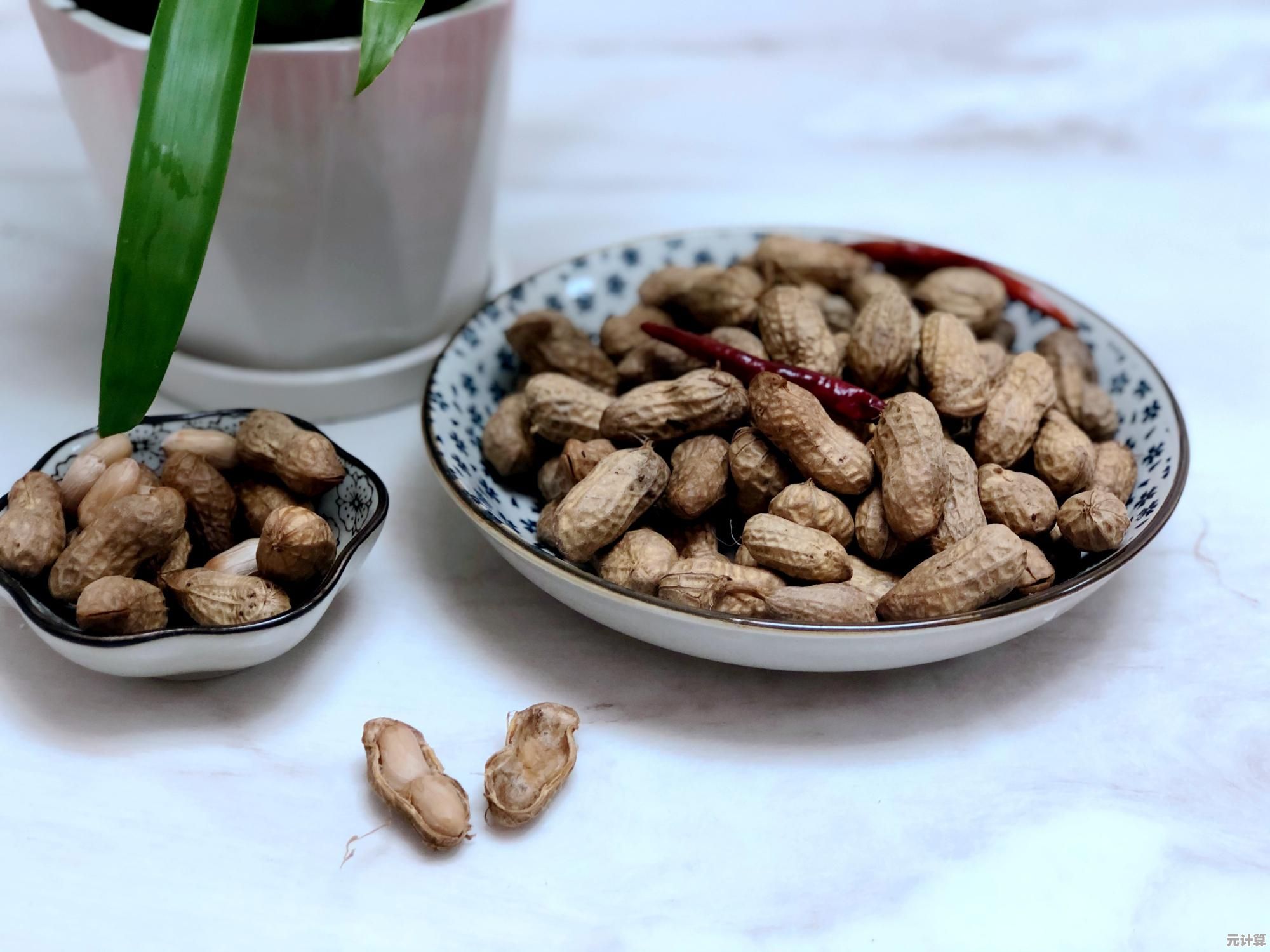 解密落花生:深入种植与加工过程,品味自然营养与健康美味 解密落花生:深入种植与加工过程,品味自然营养与健康美味