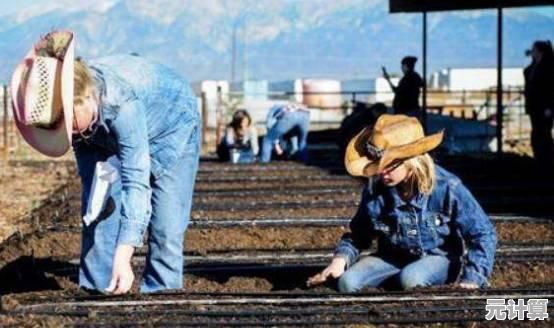 如何轻松管理农场和家畜？疯狂农场》等你来挑战！