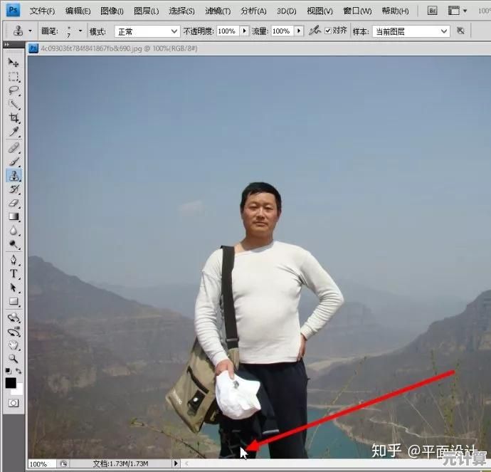 掌握仿制图章工具的核心技巧：从基础操作到高级应用