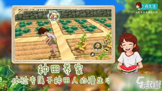 想体验田园生活的乐趣？试试《小森生活中文版》吧！