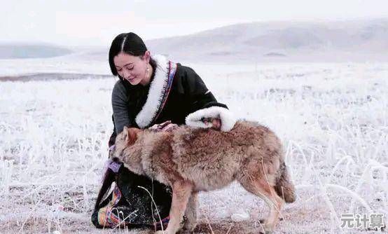 如何才能躲避狼群、龙卷风？救救大叔》给你答案！