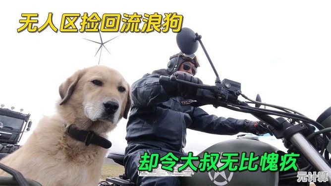 如何才能躲避狼群、龙卷风？救救大叔》给你答案！