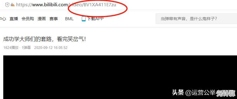 免费在线工具，一键高效下载网页视频，轻松保存精彩内容