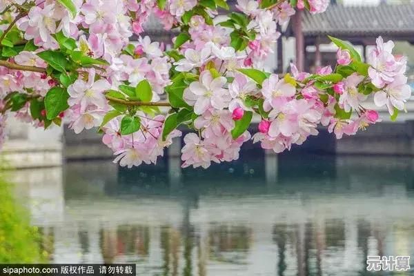 还在寻找浪漫邂逅?樱花恋爱手册》带你探索心动瞬间! 还在寻找浪漫邂逅?樱花恋爱手册》带你探索心动瞬间!
