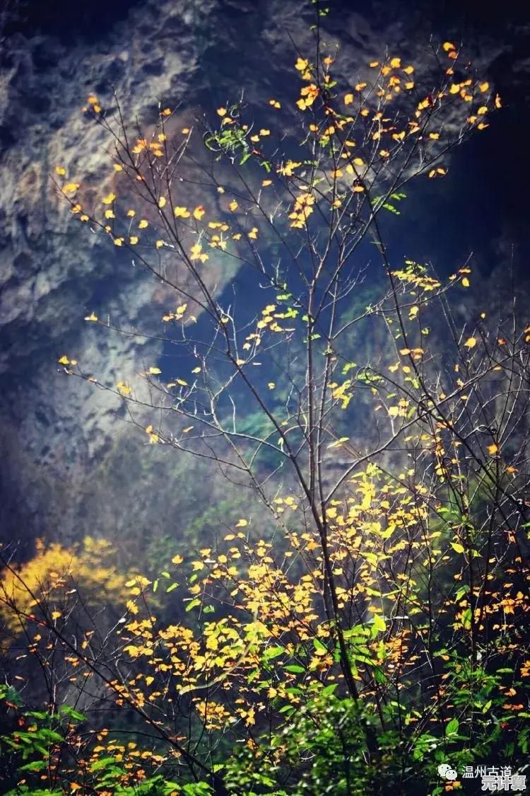 如何用两个按键征服崎岖山路?登山赛车老版本邀你体验最硬核的赛车升级之路! 如何用两个按键征服崎岖山路?登山赛车老版本邀你体验最硬核的赛车升级之路!