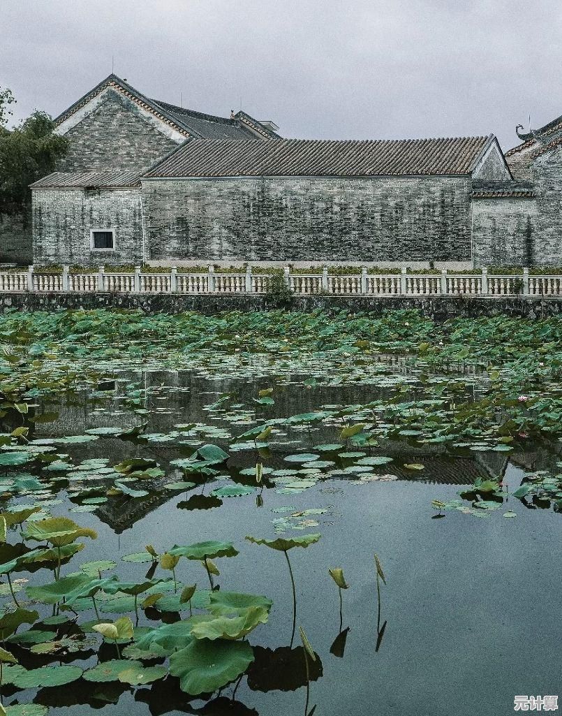 想在《疯狂老奶奶》里体验心跳加速的疯狂追逐吗？