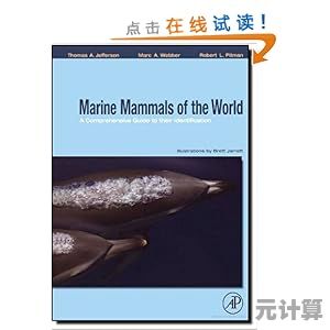 A Comprehensive Guide to Partitioning Your Hard Drive Efficiently and Safely A Comprehensive Guide to Partitioning Your Hard Drive Efficiently and Safely