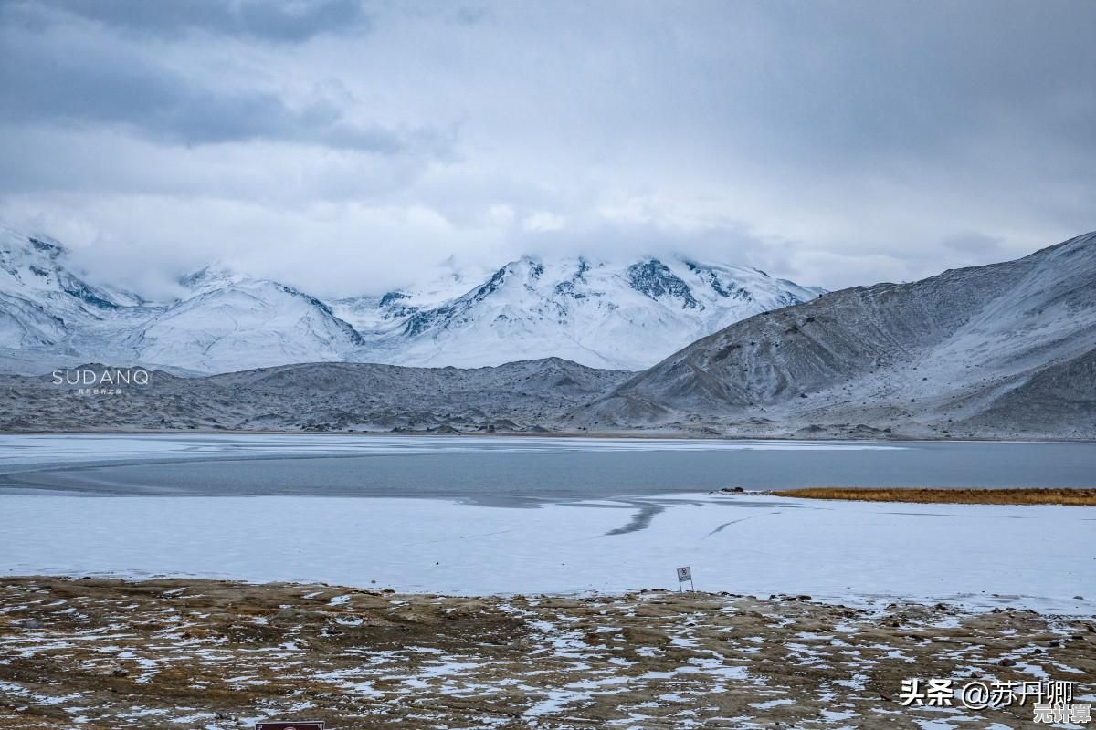 厌倦了单调的冒险？试试《光遇国际服》的唯美探索之旅吧！