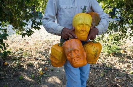 还在玩原版？植物大战僵尸杂交版3.0》新增南瓜加农炮和道具图鉴，不来试试吗？