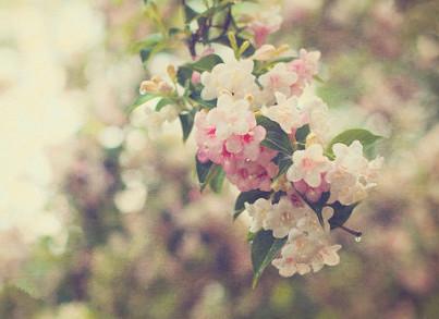 获取QQ2019年安卓官方正版，一键下载安装便捷社交工具