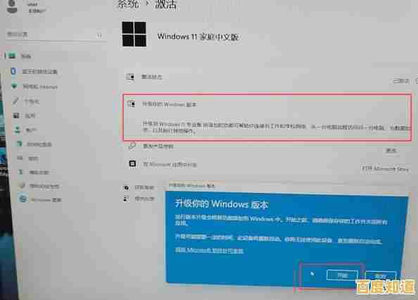 Win11正式版最新版本号快速查询方法分享 Win11正式版最新版本号快速查询方法分享