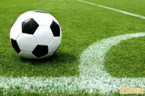 想体验丰富玩法的足球竞技？足球英雄杯满足你的所有期待！