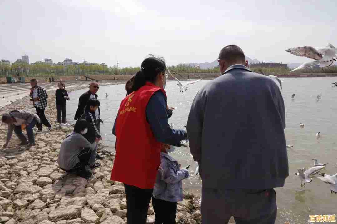 守护家园、挑战多样关卡？植物大战僵尸1原版》怎能错过！