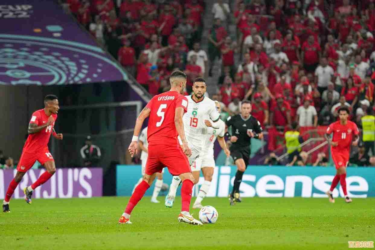 还在找一款能组建自己球队的足球游戏？实战十一人游戏》带你圆梦！