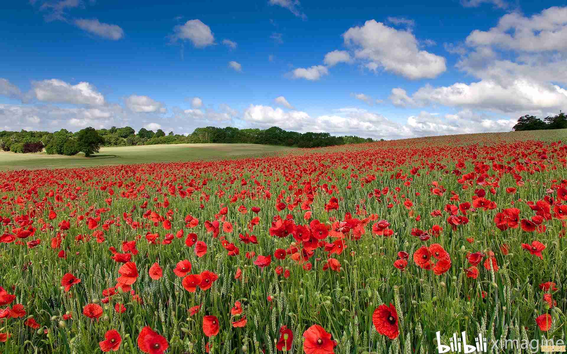 电脑墙纸精选：打造独特桌面风格，赋予您的数字空间全新活力！