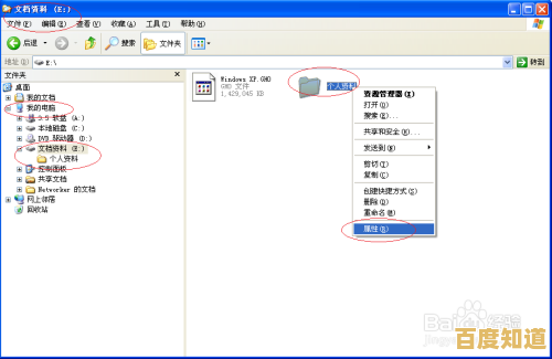 Windows 11网络共享加密操作步骤详解