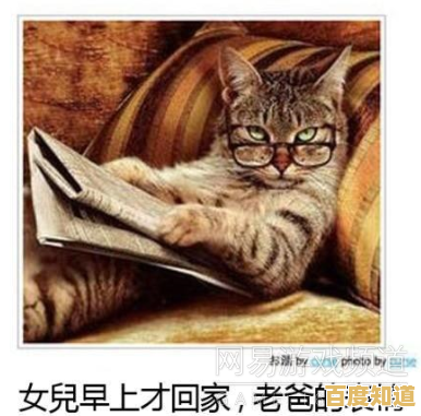 厌倦了单调的经营游戏?放克猫猫》带你解锁撸猫+养成的双倍快乐! 厌倦了单调的经营游戏?放克猫猫》带你解锁撸猫+养成的双倍快乐!