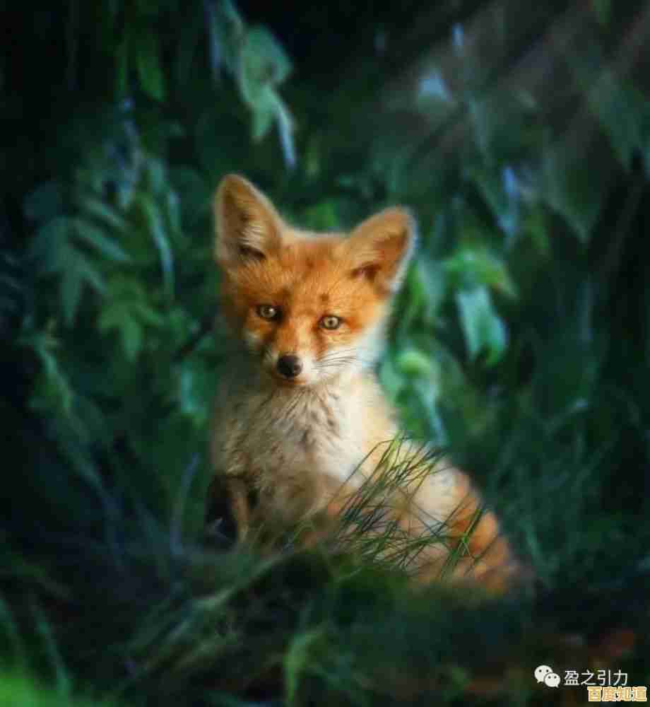 想体验画家与小狐狸的温馨故事?狐姬零》移动端优化让你随时随地沉浸其中! 想体验画家与小狐狸的温馨故事?狐姬零》移动端优化让你随时随地沉浸其中!