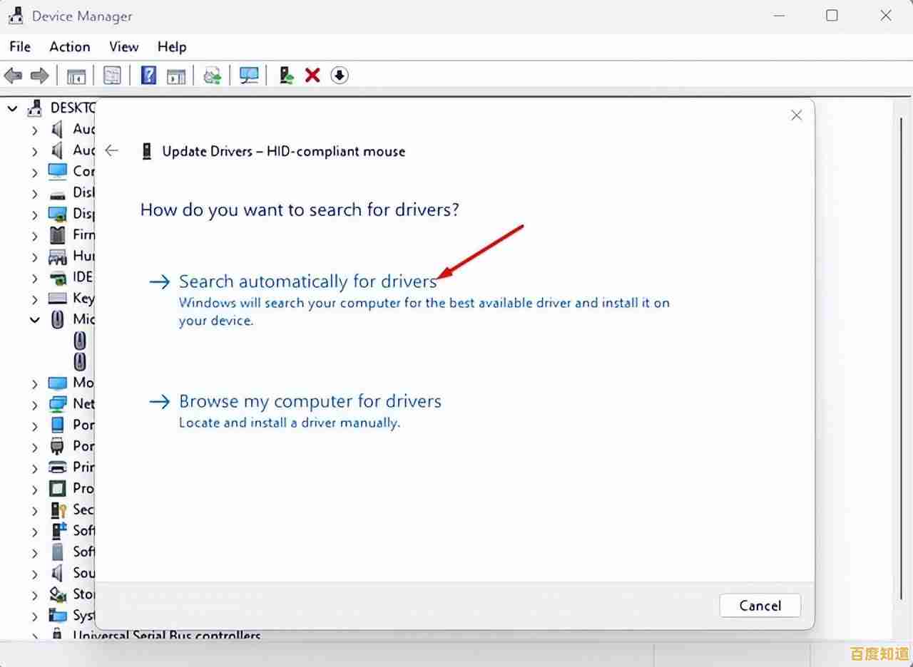 Windows 11文件移动故障排查与解决方案指南