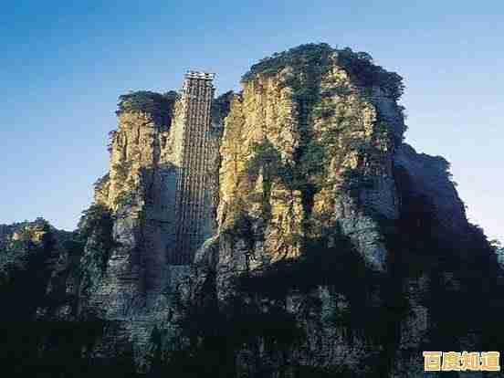 相机天梯排名全揭秘:深度剖析全球领先品牌及其激烈竞争态势 相机天梯排名全揭秘:深度剖析全球领先品牌及其激烈竞争态势