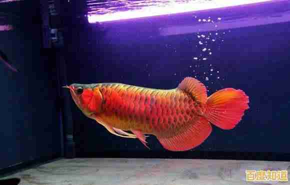 小鱼教您应对Word输入覆盖现象,恢复文档正常排版技巧 小鱼教您应对Word输入覆盖现象,恢复文档正常排版技巧