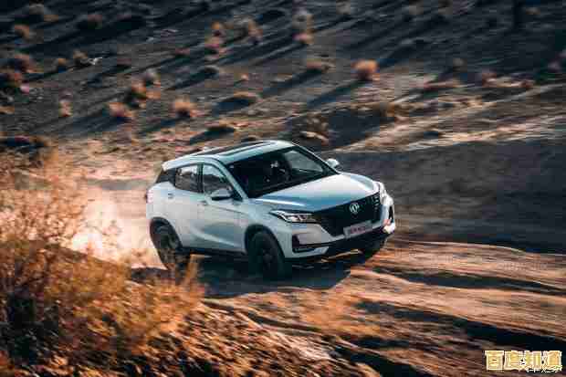 探索PS的多重含义:功能、用途及行业应用全解析 探索PS的多重含义:功能、用途及行业应用全解析