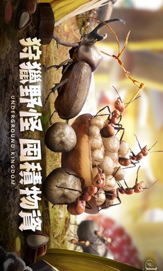 如何让渺小蚂蚁在危机四伏的世界崛起?小小蚁国37版》用智慧书写蚁国传奇!