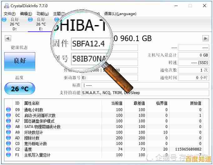 跟着小鱼学习显存类型查看方法，快速上手不求人