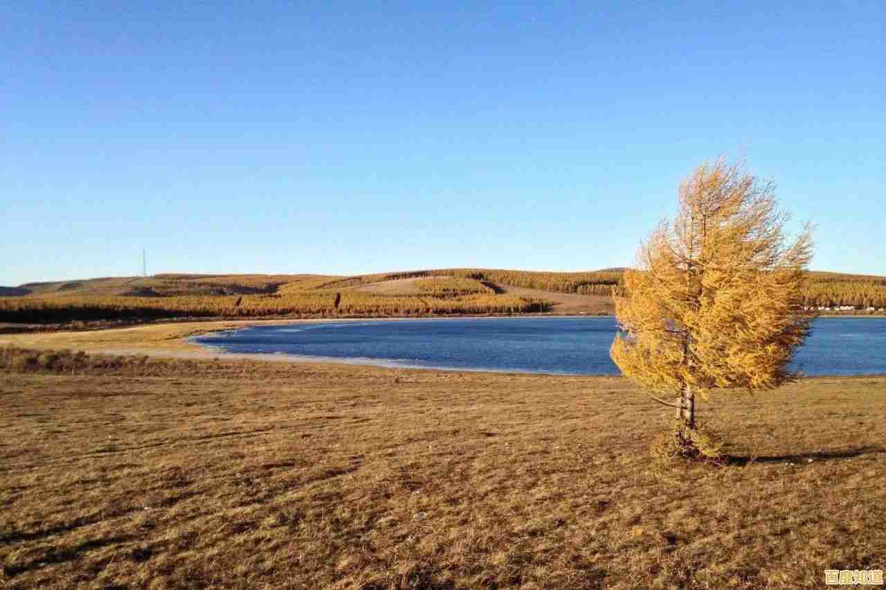 精选相机天梯图指南：助你找到完美设备，提升摄影创作体验！