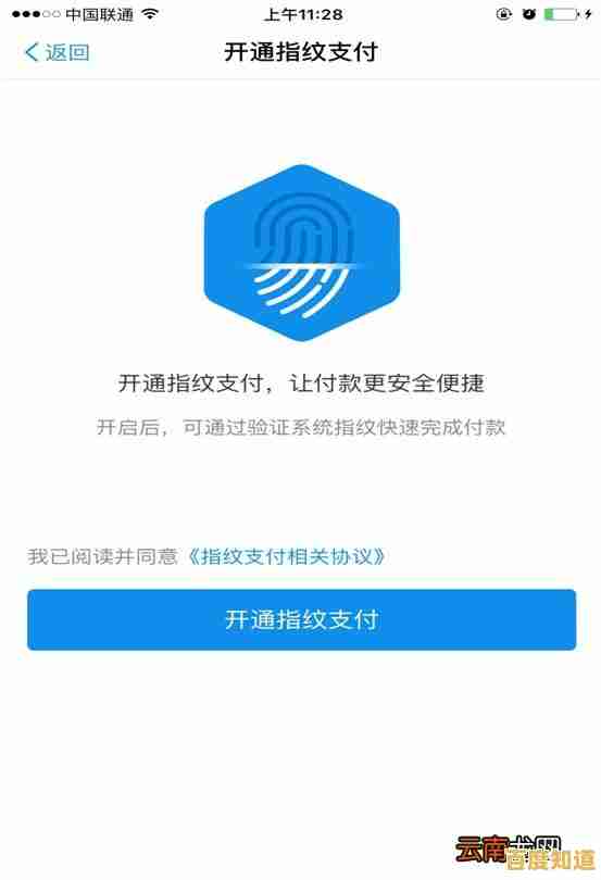 支付宝安全下载指南：详细解析官方免费安装步骤