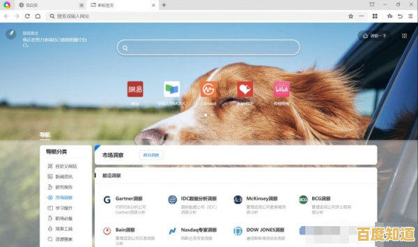 Windows 11浏览器全面升级,极速上网体验让您畅享网络新境界!