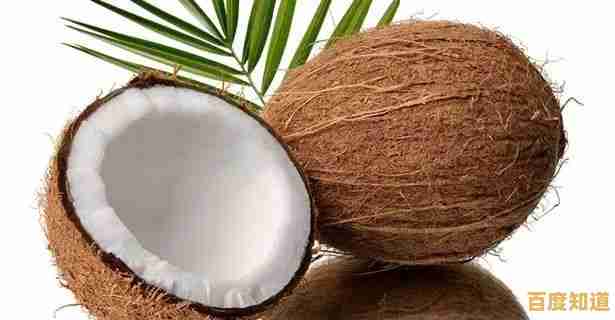 掌握这些椰子开启技巧，让你轻松享受新鲜椰汁与椰肉的完美方法