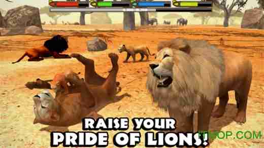 关卡模式or无尽模式？荒野动物狮子模拟》哪款玩法更吸引你？