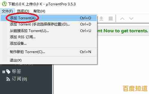 小鱼教您轻松打开torrent文件,电脑视频下载一看就会