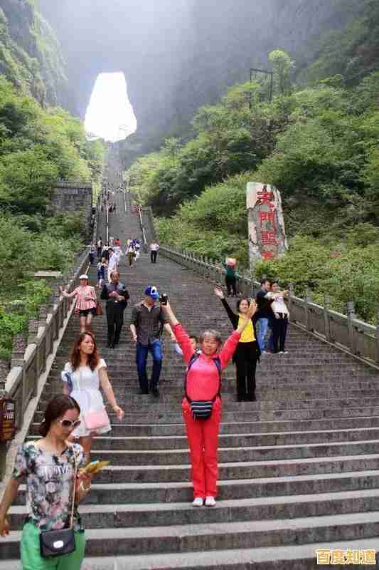 集显天梯图解析：荣耀之路上的全球玩家实力大揭秘