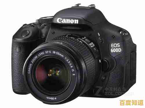 单反相机选购指南:从佳能到尼康,全方位对比各品牌性能