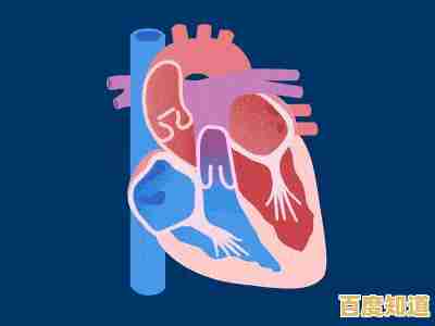 Windows 11更新在笔记本端受阻的可能诱因与排查方案分析