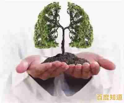 遇到笔记本没有声音？这里提供完整修复方案与技巧汇总