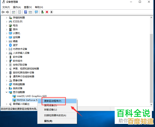 电脑显卡驱动如何正确更新？详细图文教程与常见问题解答