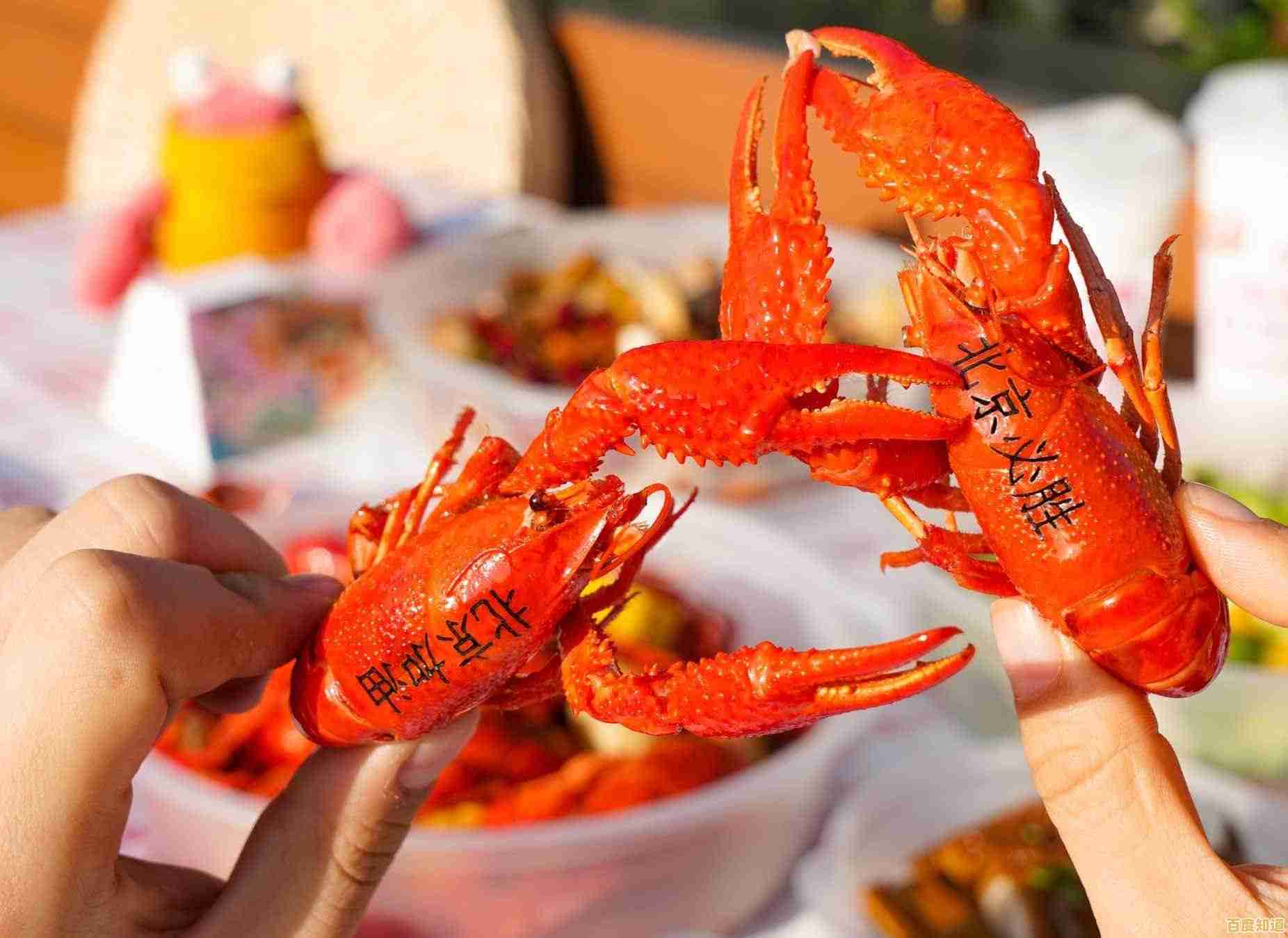 饿了么商家版：高效运营工具，助您餐饮业务飞速成长