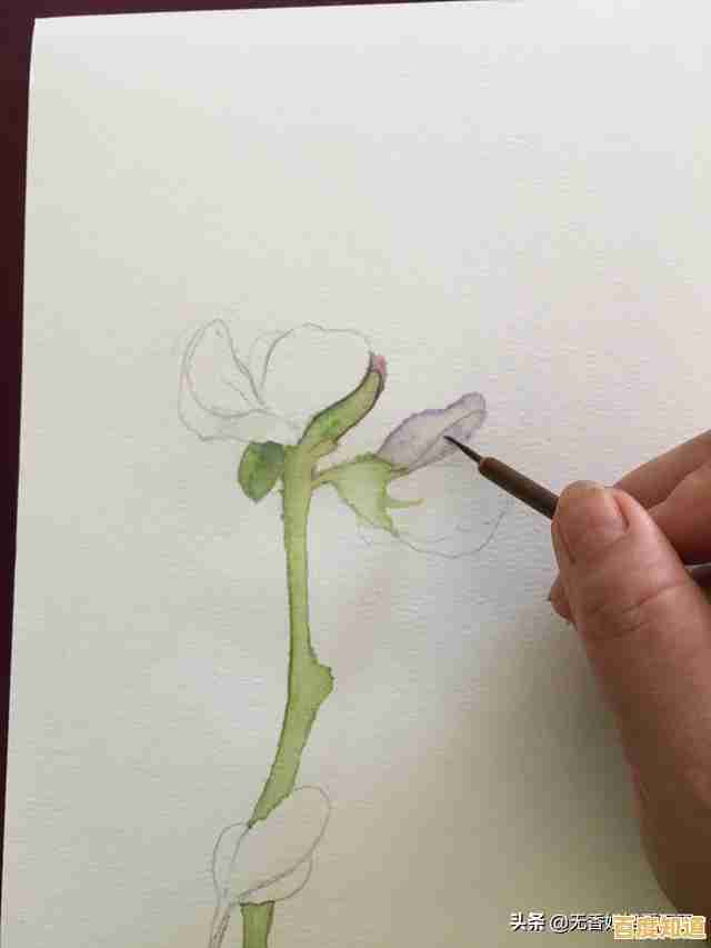 零基础也能画好花:实用技巧带你快速上手美丽花卉绘画! 零基础也能画好花:实用技巧带你快速上手美丽花卉绘画!