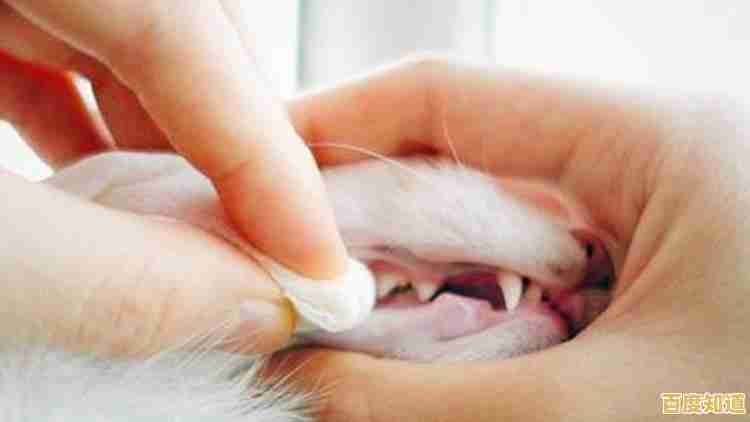 想体验轻松养成的乐趣？遇见你的猫》等你来探索！